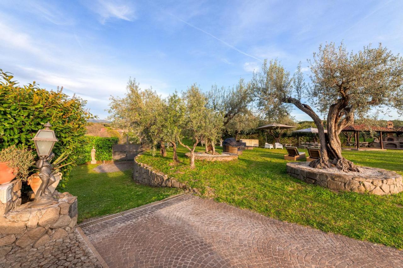 Oasis Ciampino